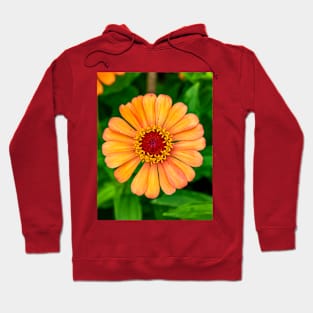 Orange Coneflower with Yellow and Red Center Hoodie